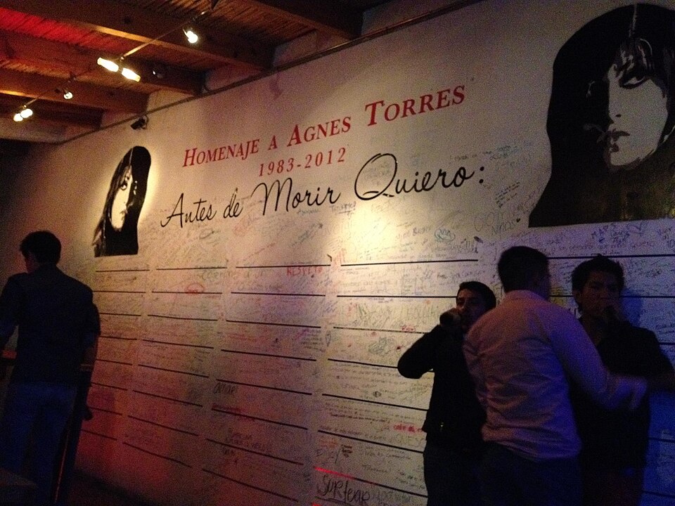 File:Agnes Torres.jpg