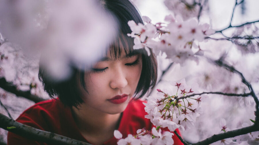 A young person with short black hair and red lipstick stands peacefully among blooming cherry blossom branches.