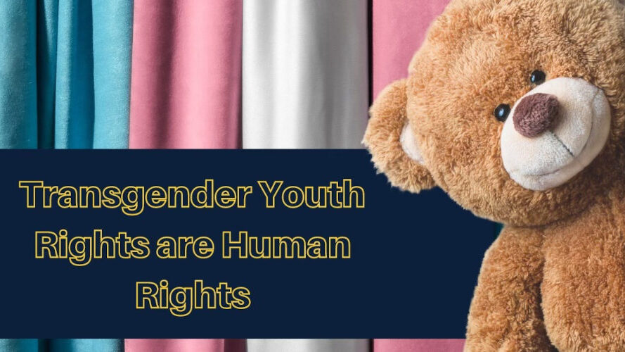 A soft teddy bear next to pastel blue, pink, and white fabric with the message “Transgender Youth Rights are Human Rights.”