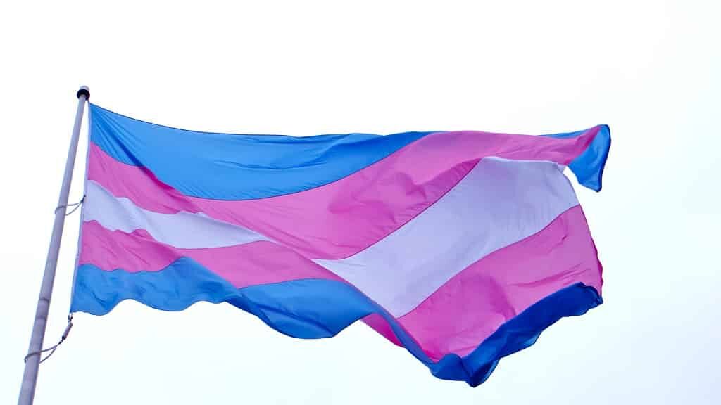 transgender flag